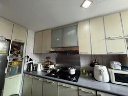 Park Green (D19), Condominium #496313021